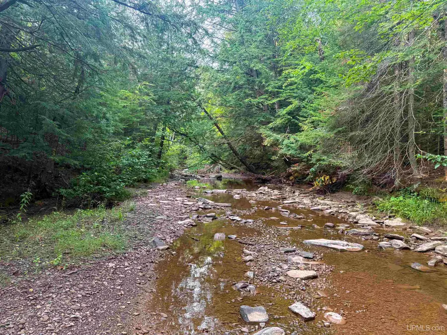 Lot 1 (North) M-64, Ontonagon, MI 49953 - #2