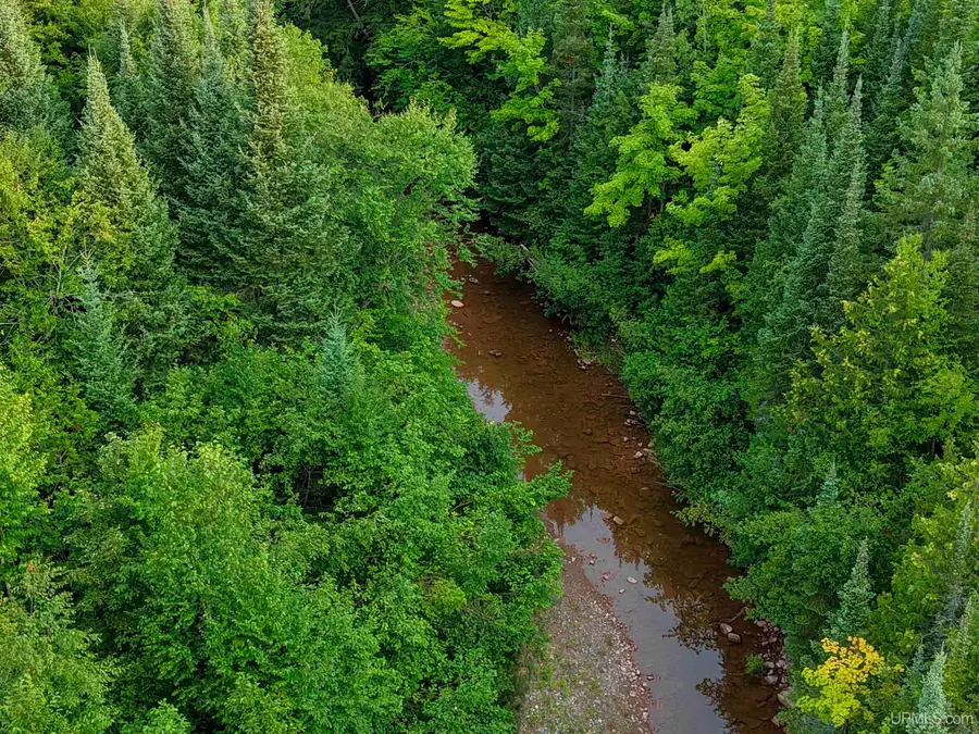 Lot 2 (Middle) M-64, Ontonagon, MI 49953 - #2