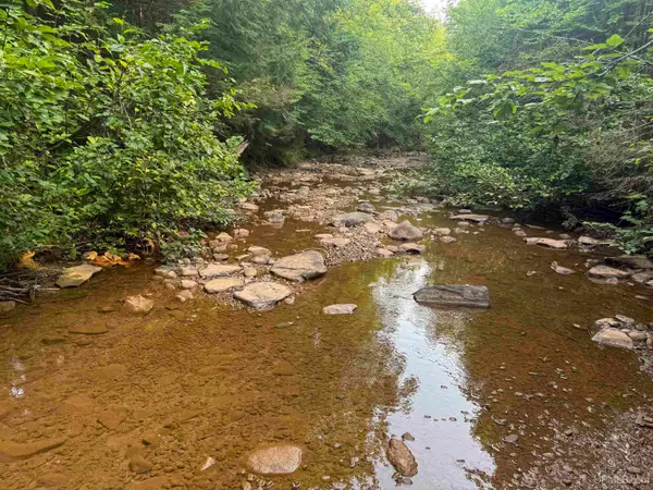 Lot 3 (South) M-64, Ontonagon, MI 49953