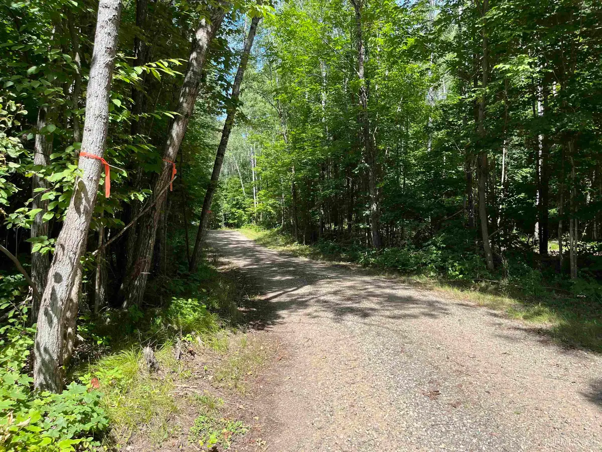 Lot 3 Mulberry, Fern, WI 54121 - #1
