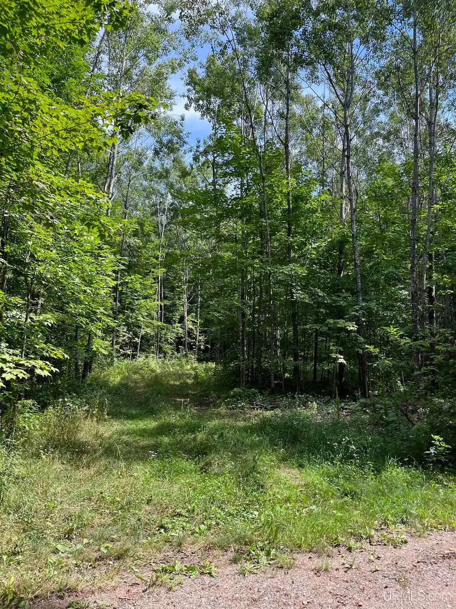 Lot 3 Mulberry, Fern, WI 54121 - #2