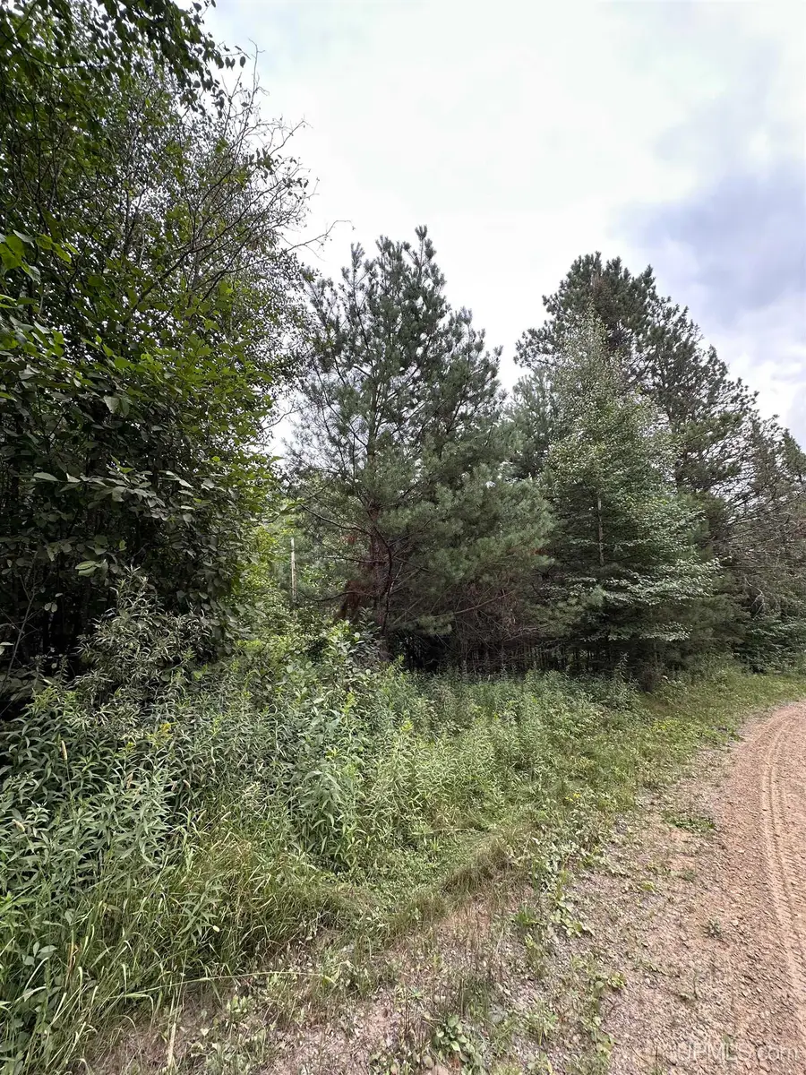 TBD Smokey Lake, Iron River, MI 49935 - #3