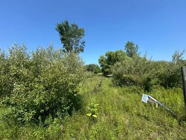 517-518 Shaftsbury, Gladwin, MI 48624 - #2