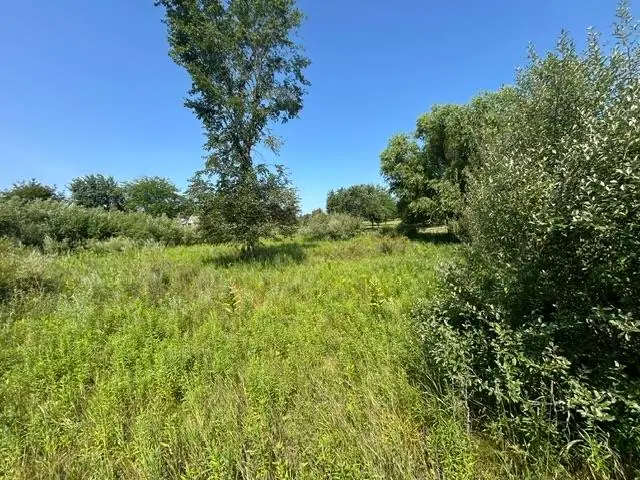 517-518 Shaftsbury, Gladwin, MI 48624 - #3