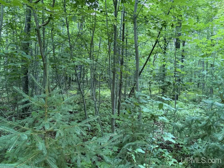 13243 Portice, Skanee, MI 49962 - #2