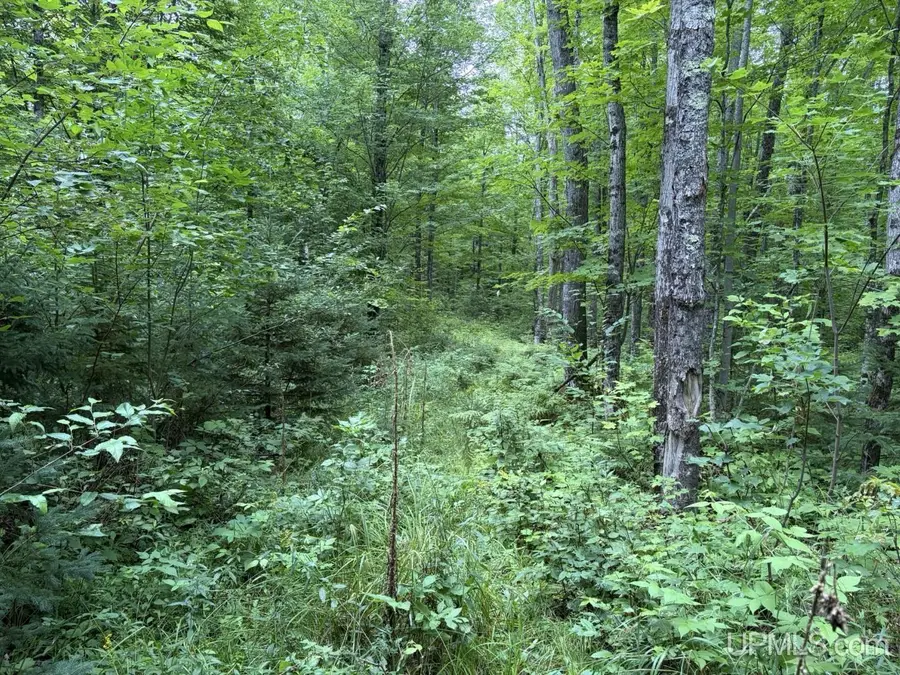 13243 Portice, Skanee, MI 49962 - #3