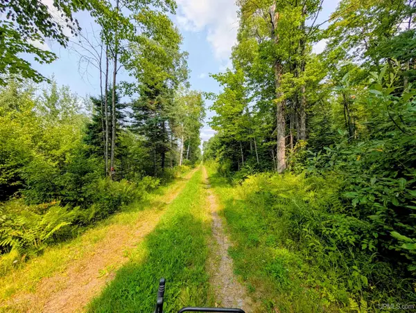 160 acres Camp Gibbs, Iron River, MI 49935