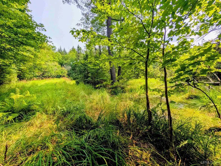 160 acres Camp Gibbs, Iron River, MI 49935 - #2