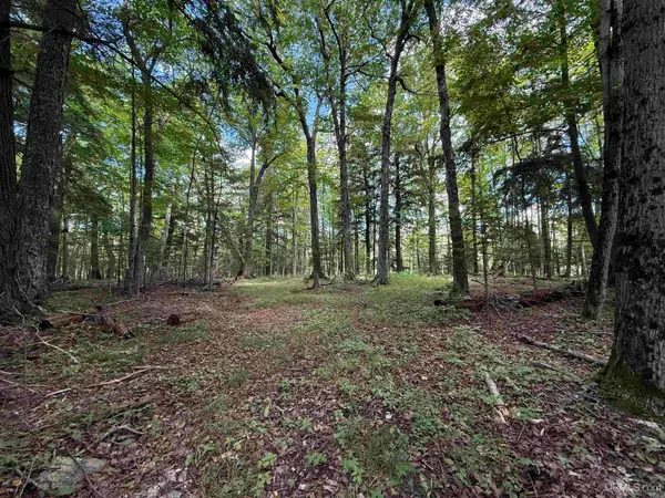 38.14 Acres Us 2, Gulliver, MI 49840