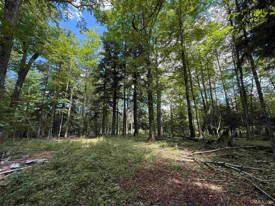 38.14 Acres Us 2, Gulliver, MI 49840 - #2