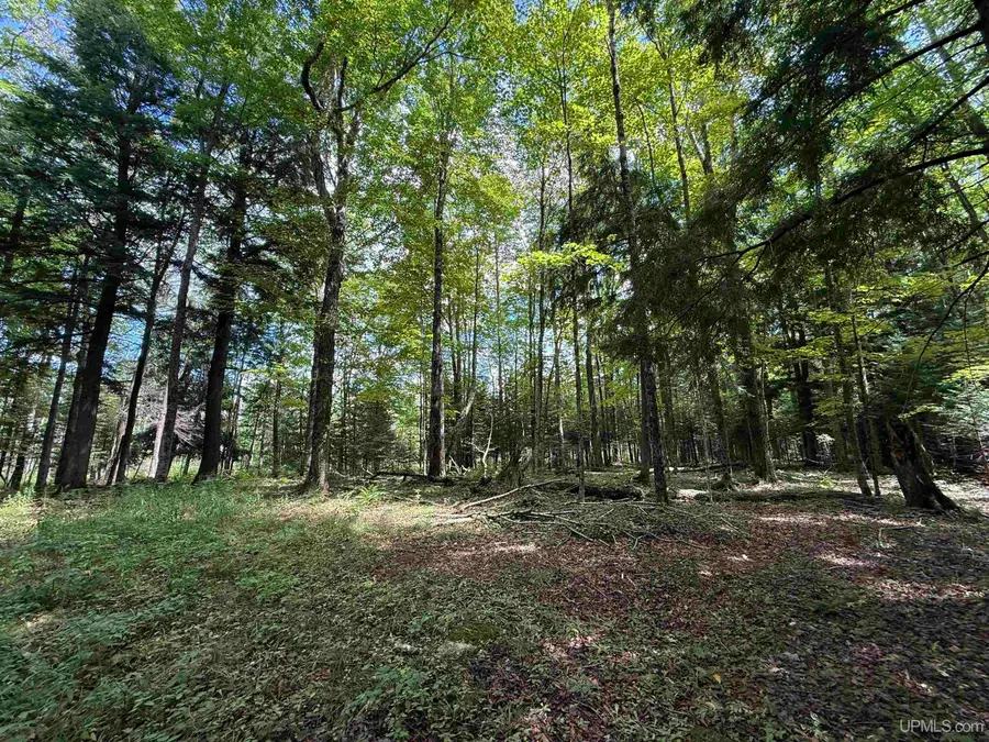 38.14 Acres Us 2, Gulliver, MI 49840 - #3