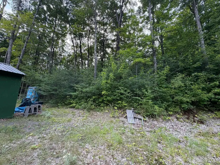 N4260 W Tamarack Lake, Watersmeet, MI 49969 - #3