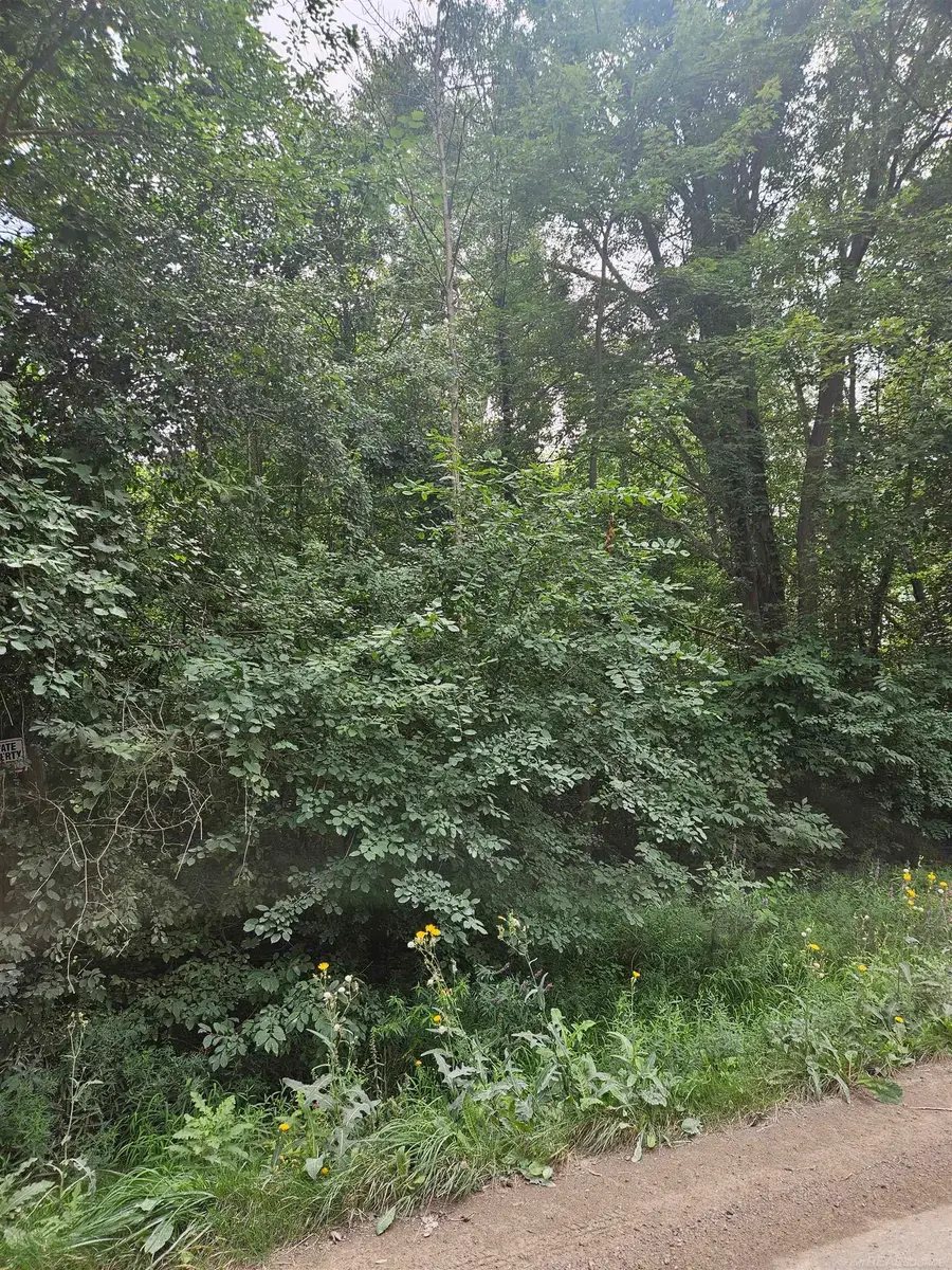 14080 31 Mile, Washington Township, MI 48095 - #3