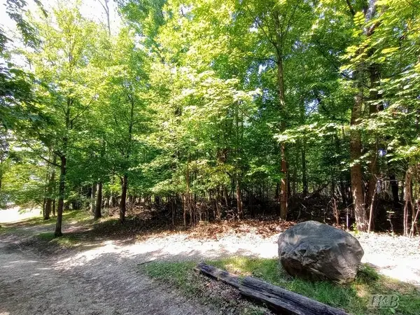 Lot 61 Knights, Gladwin, MI 48624