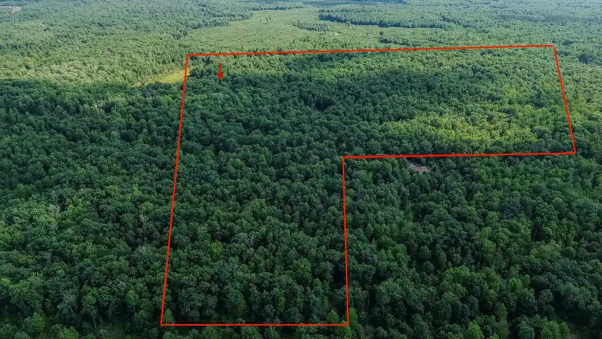 00 Center Fireline Trail, Beaverton, MI 48612 - #1