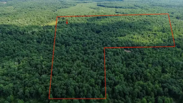 00 Center Fireline Trail, Beaverton, MI 48612
