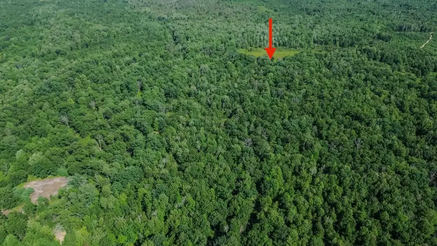 00 Center Fireline Trail, Beaverton, MI 48612 - #2