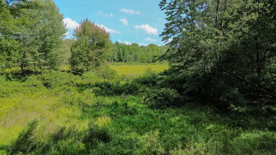 00 Center Fireline Trail, Beaverton, MI 48612 - #3