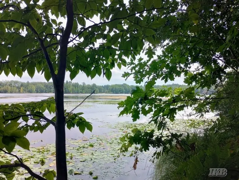 Unit 11 Deer, Gladwin, MI 48624 - #3