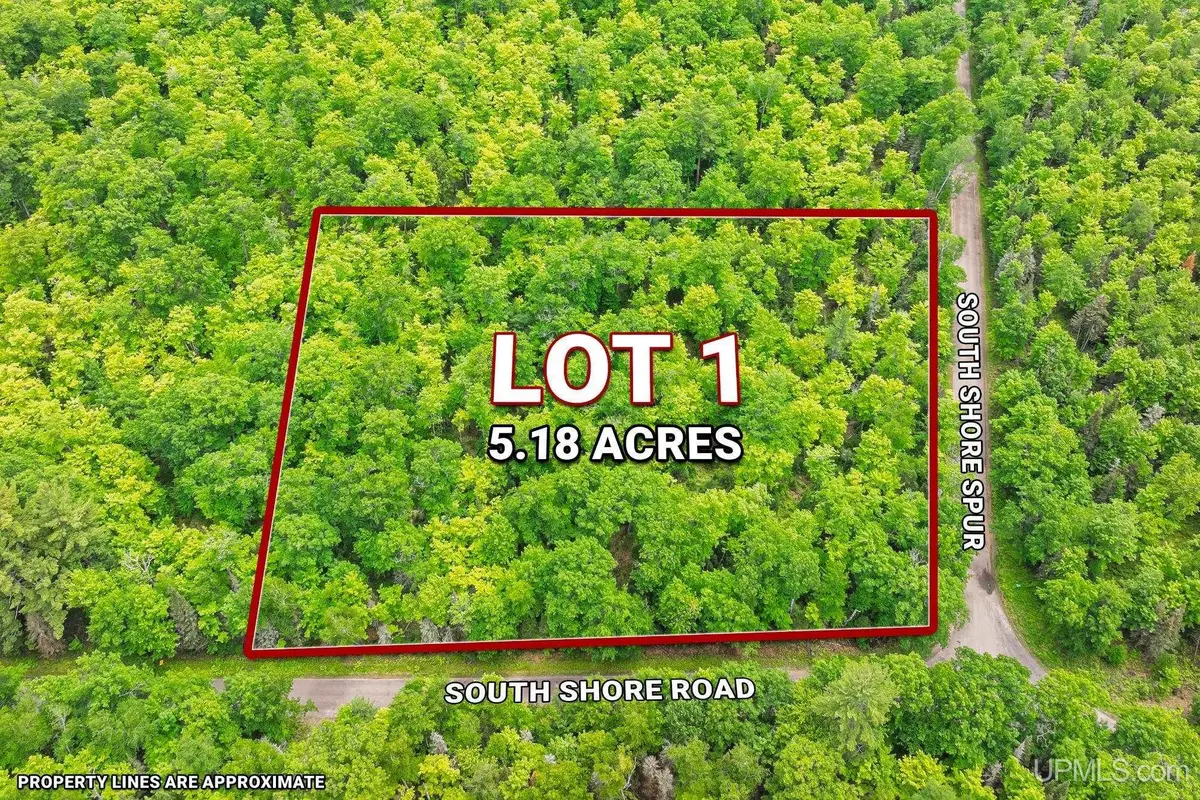 Lot 1 South Shore, Phelps, WI 54554 - #1