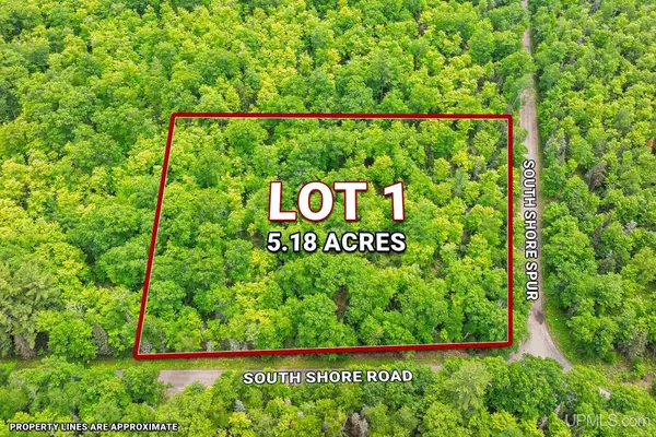 Lot 1 South Shore, Phelps T-WI, WI 54554