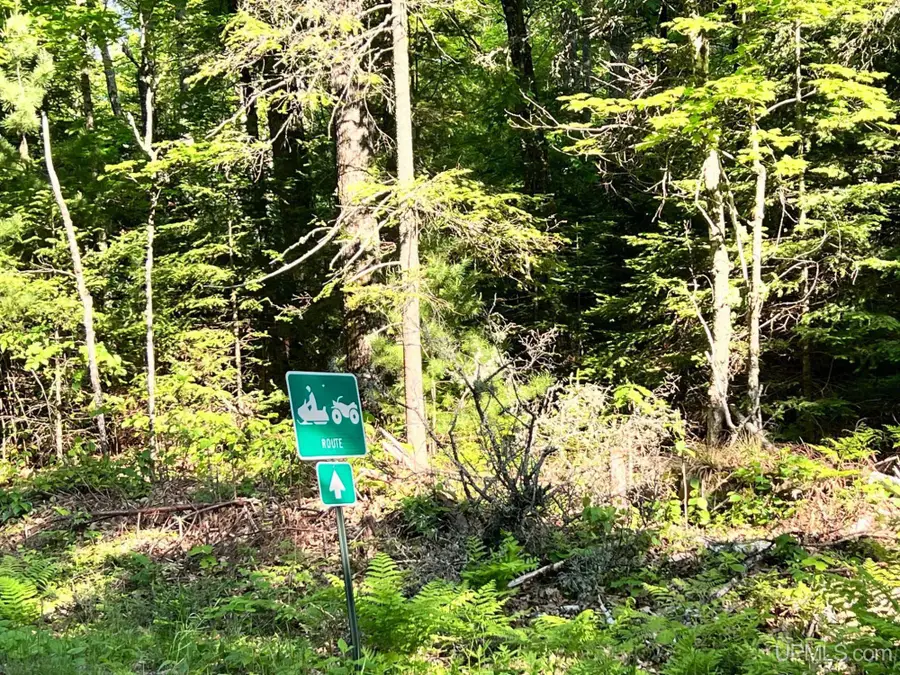 Lot 1 South Shore, Phelps, WI 54554 - #3