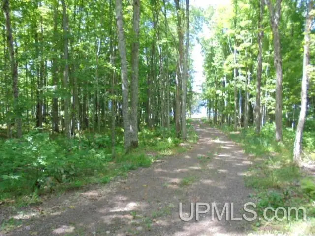 TBD E Shore, Marenisco, MI 49947 - #2