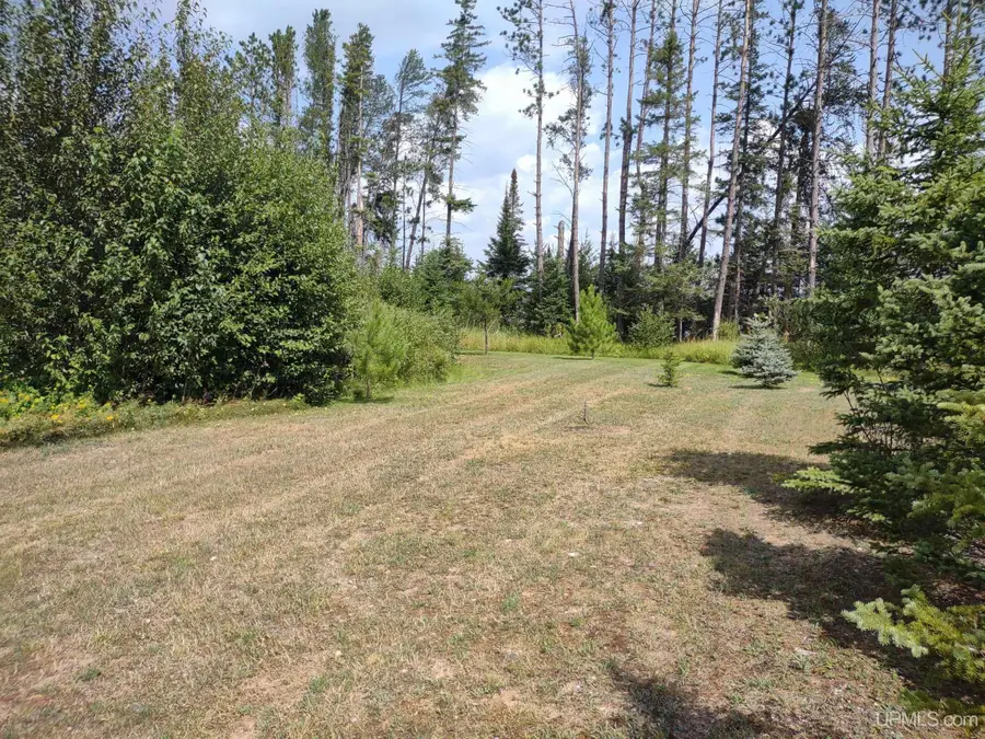 TBD Eagles Nest, Iron River, MI 49935 - #2