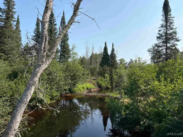 River 80 E of North Pointe, Deerton, MI 49822