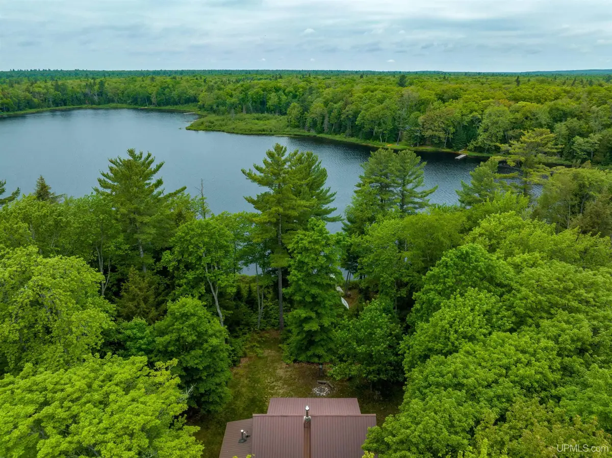 2025 W Carpenter Lake, Seney, MI 49883 - #1