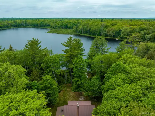 2025 W Carpenter Lake, Seney, MI 49883