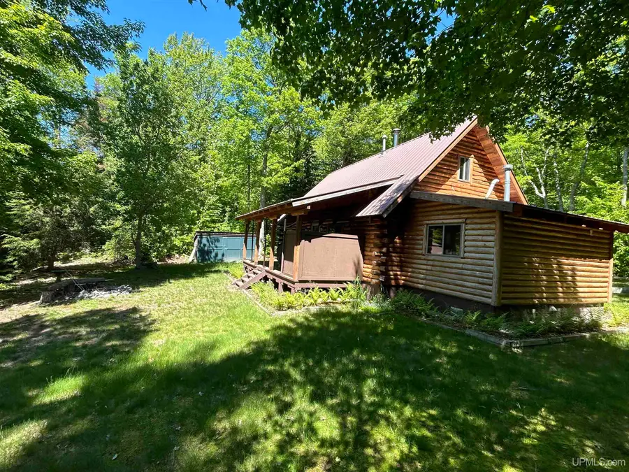 2025 W Carpenter Lake, Seney, MI 49883 - #3