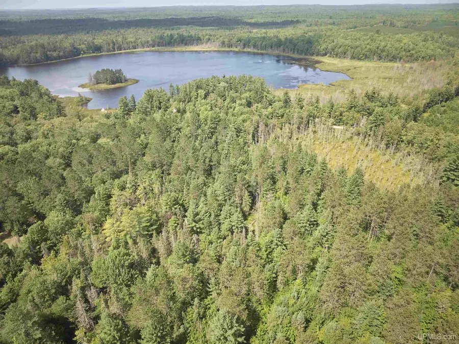 E7163 Doe Lake, Au Train, MI 49806 - #2
