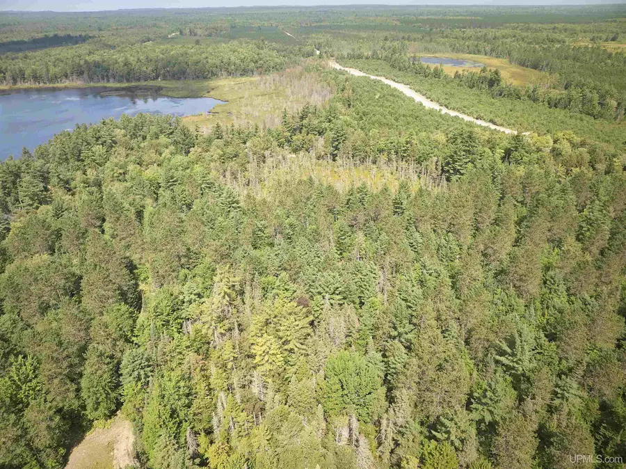 E7163 Doe Lake, Au Train, MI 49806 - #3