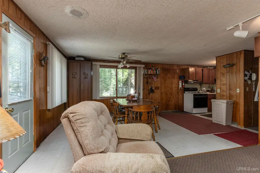 170 Tamarack Lake, Iron River, MI 49935 - #3