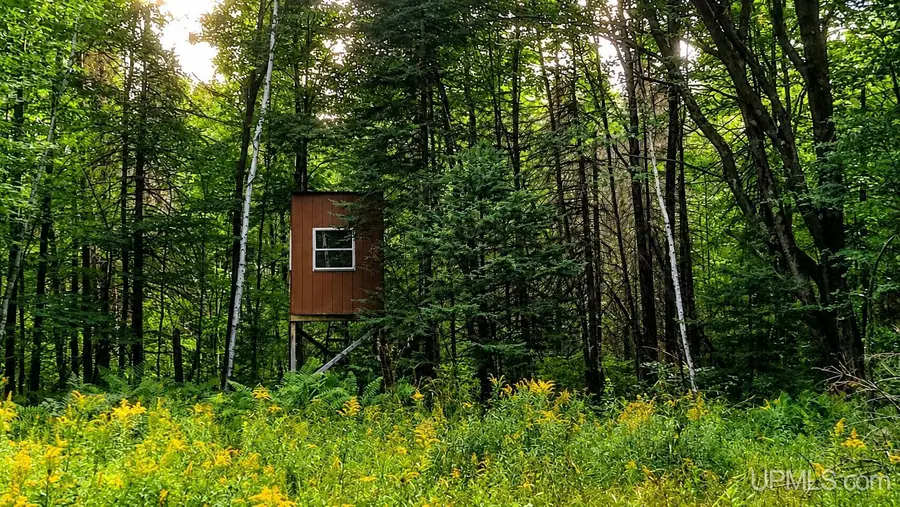 35.97 ac Whippoorwill, Dunbar, WI 54119 - #2