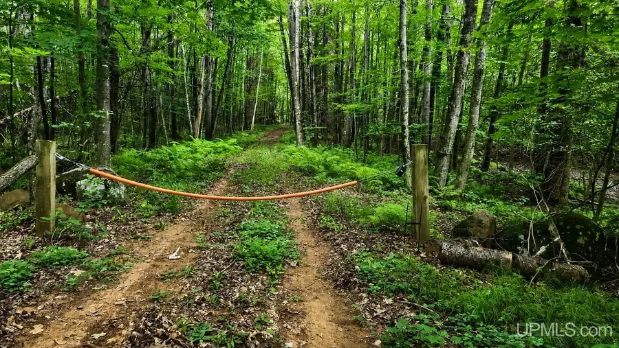 35.97 ac Whippoorwill, Dunbar, WI 54119 - #3
