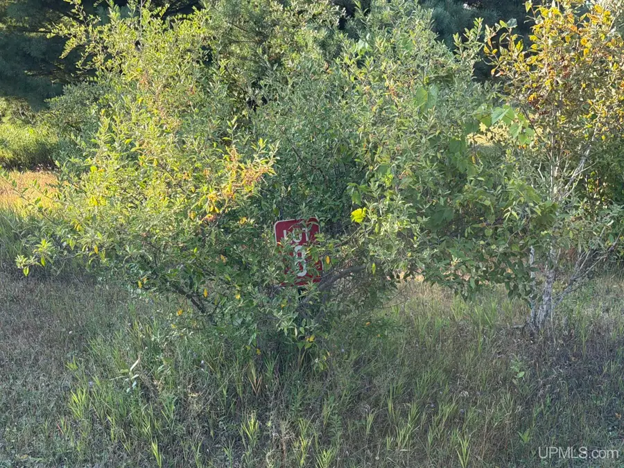 Lot 8 Ski View, Norway, MI 49870 - #3