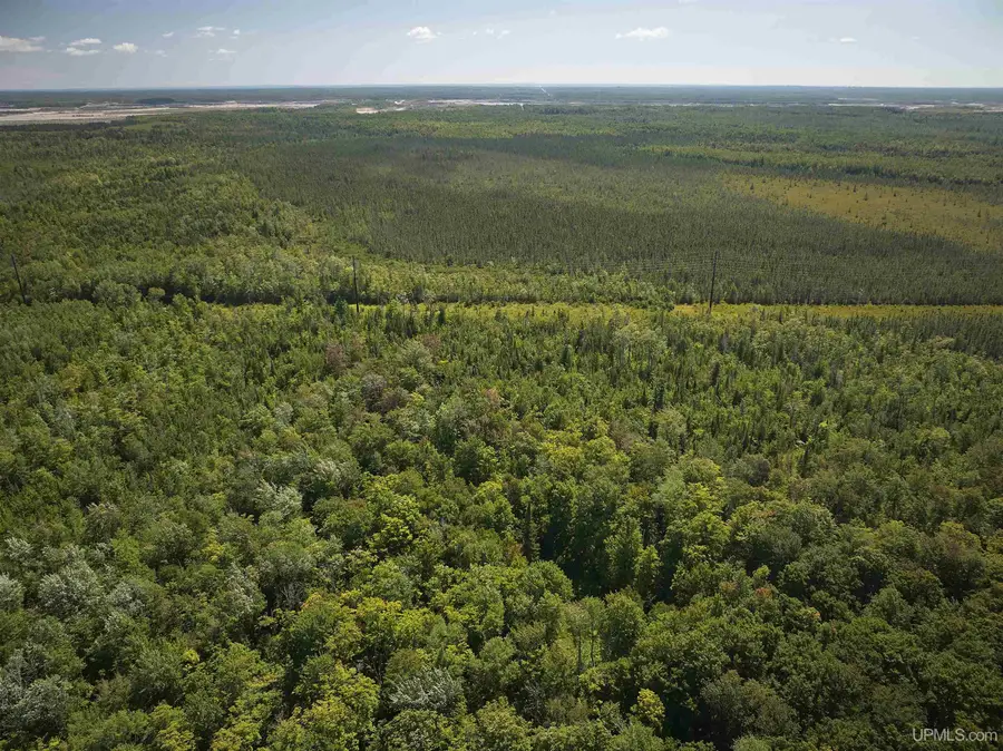 TBD 120 Acres Us2, Germfask, MI 49836 - #2