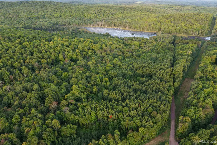 TBD Strangle, Bruce Crossing, MI 49912 - #2