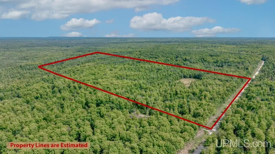 673 & 685 Yalmer, Skandia, MI 49885 - #3