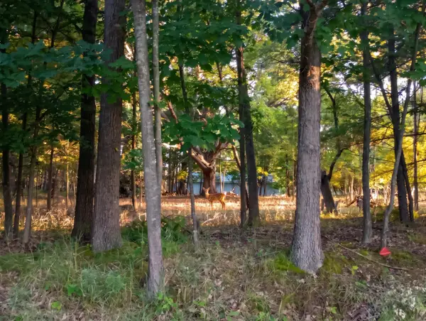 Lot 234 Kings, Gladwin, MI 48624