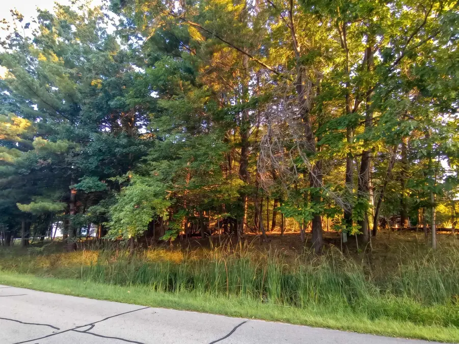 Lot 234 Kings, Gladwin, MI 48624 - #2
