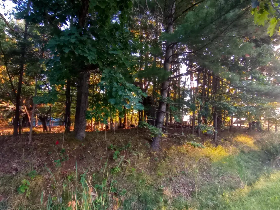 Lot 234 Kings, Gladwin, MI 48624 - #3