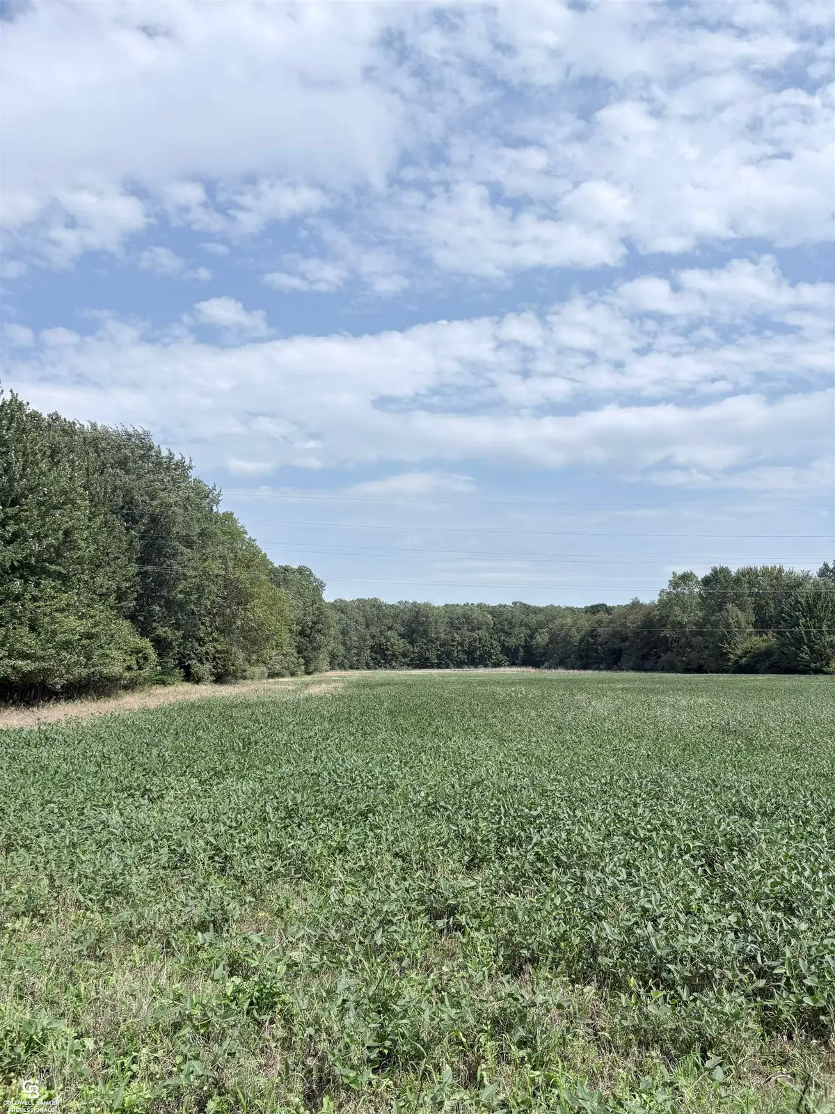 000 Palms, Columbus, MI 48063 - #1