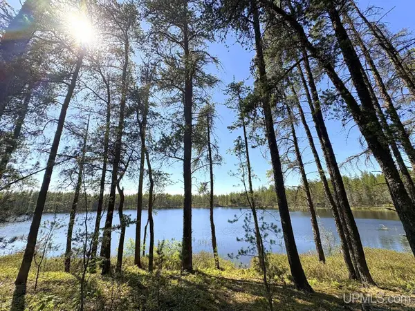 TBD County Road Eb, Gwinn, MI 49841