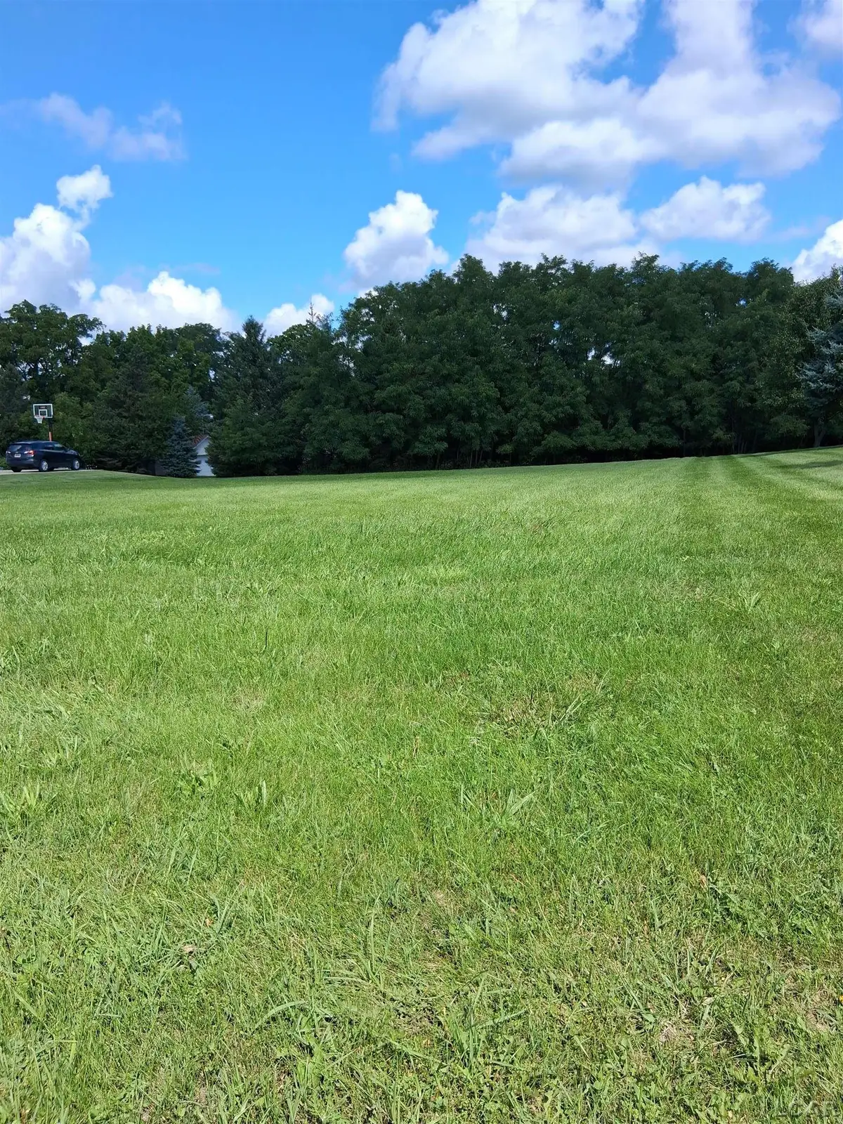 1208 Scottridge, Adrian, MI 49221 - #1