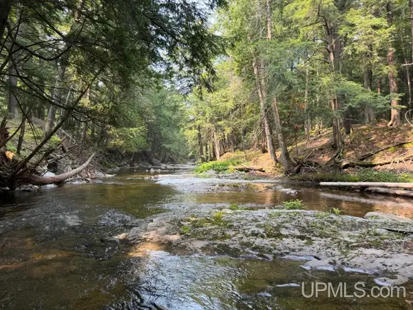 TBD Off Black Creek, Skanee, MI 49962