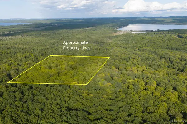 TBD 40 Acres Martin, Au Train, MI 49806
