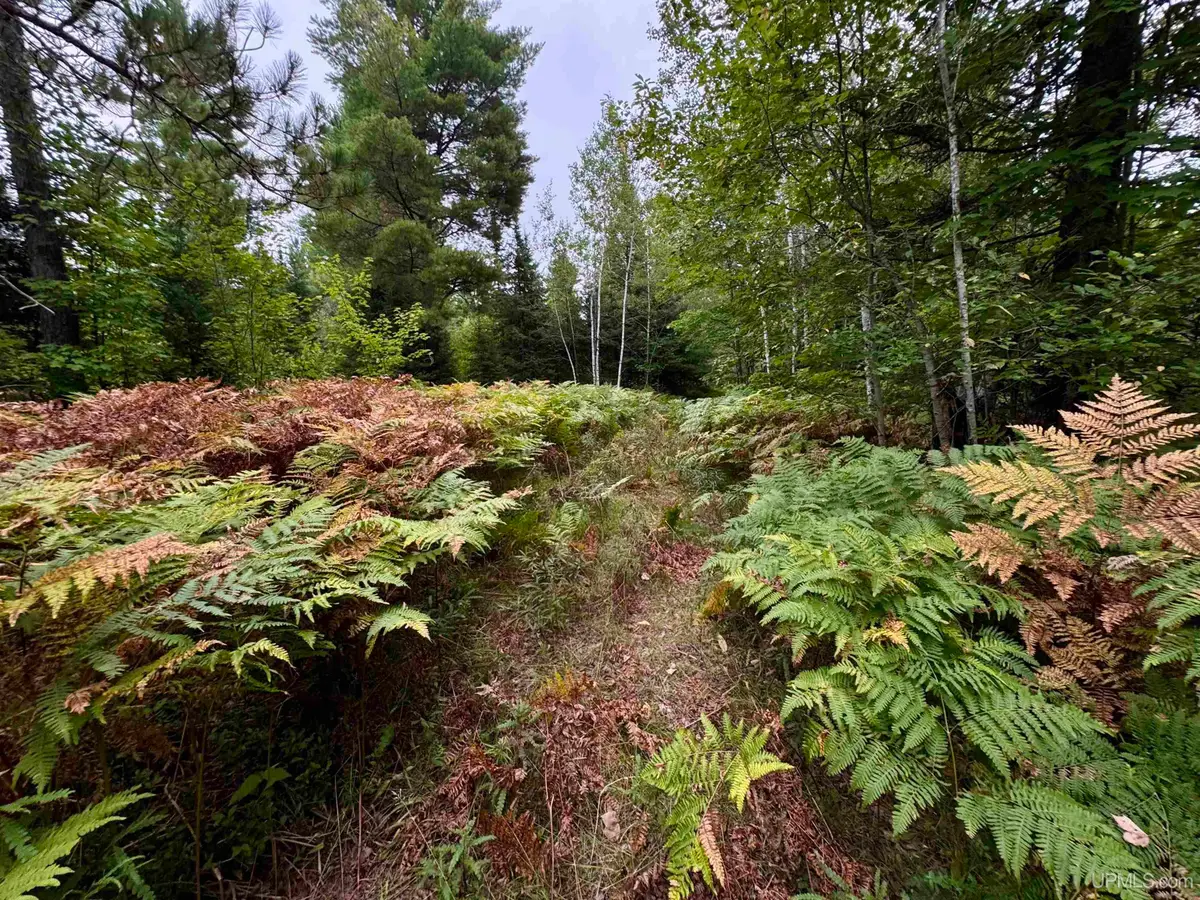 35 Acres off County Rd Co, Ishpeming, MI 49849 - #1